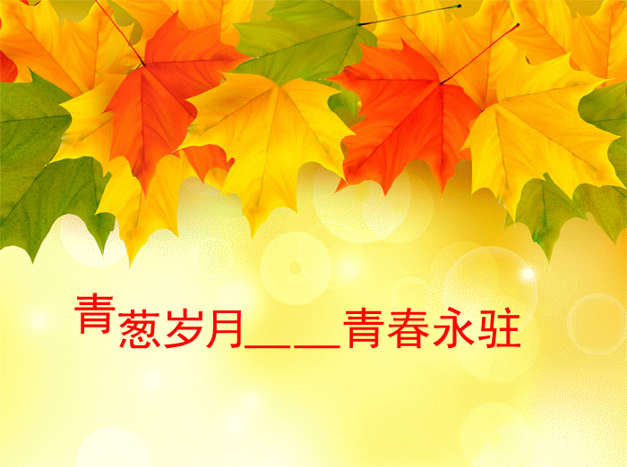 1575447017069031969.gif
