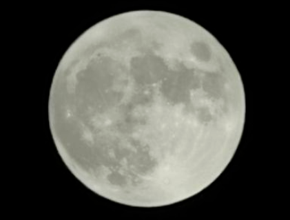1710242970139054628.png